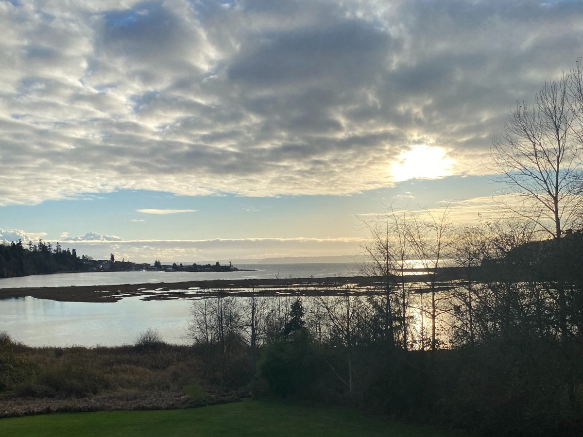 Praise to the Jewel in the Lotus: What I learned in&nbsp;2020