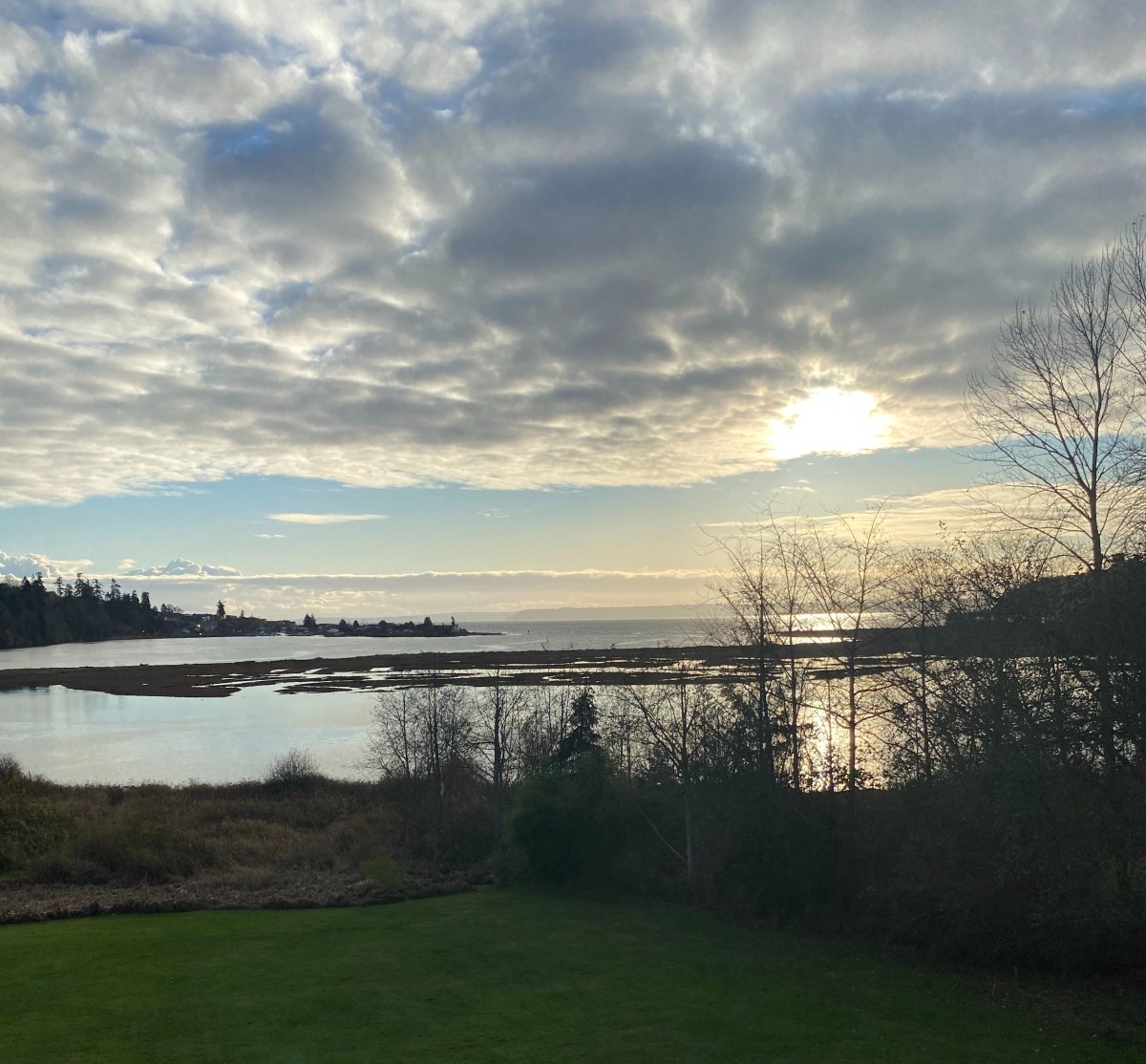 Praise to the Jewel in the Lotus: What I learned in&nbsp;2020